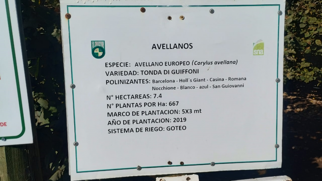 imagen Segundo intercambio estudiantil con Chile