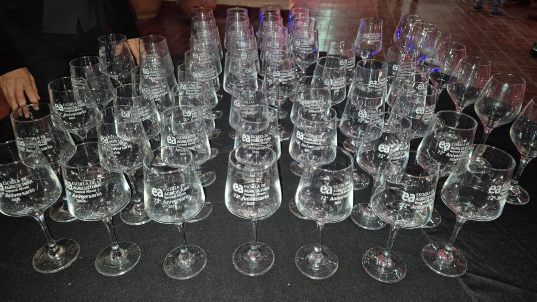 imagen "Del aula a la copa"