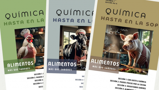 imagen "Química hasta en la sopa"