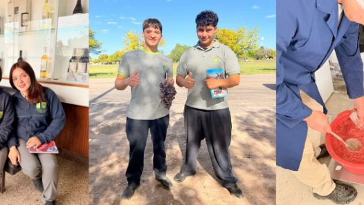 imagen Vendimia, saberes y amistad: una experiencia que se cultiva