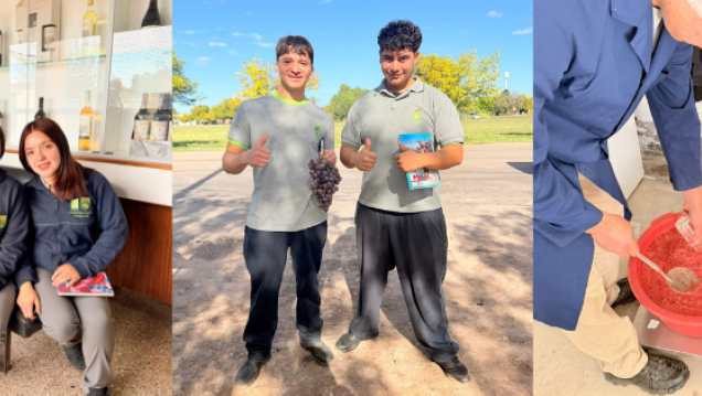 imagen Vendimia, saberes y amistad: una experiencia que se cultiva