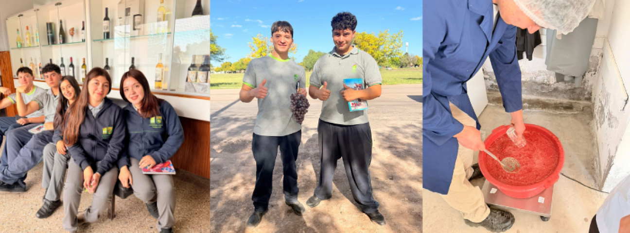 imagen Vendimia, saberes y amistad: una experiencia que se cultiva