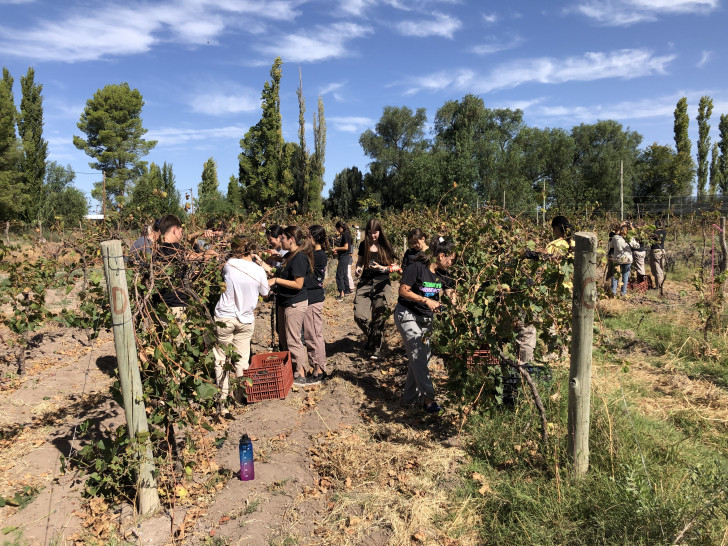 imagen Egresados: el vino con el que la Escuela de Agricultura celebra sus 70 años